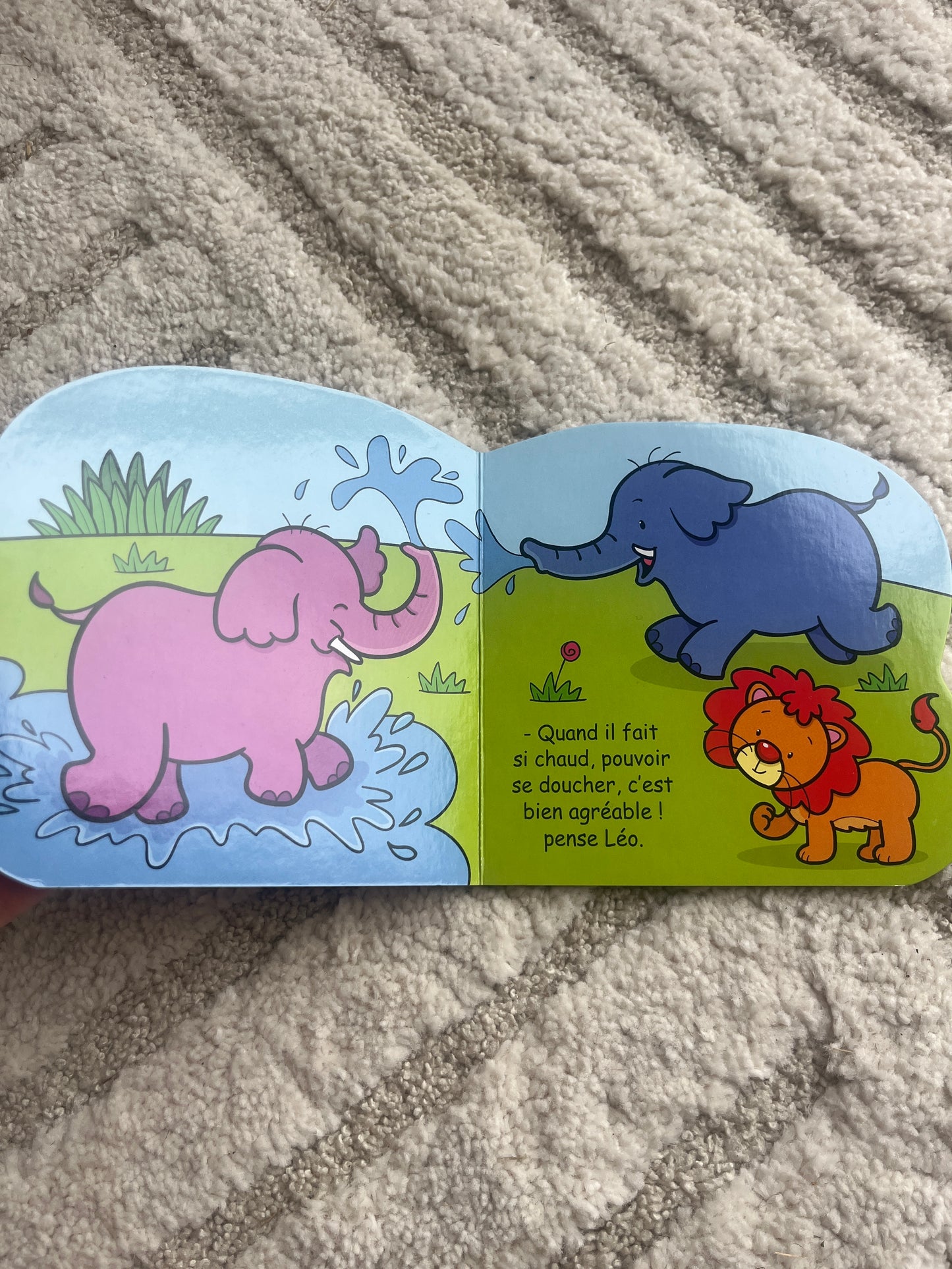 Livre de poche enfant « Léo le lion »