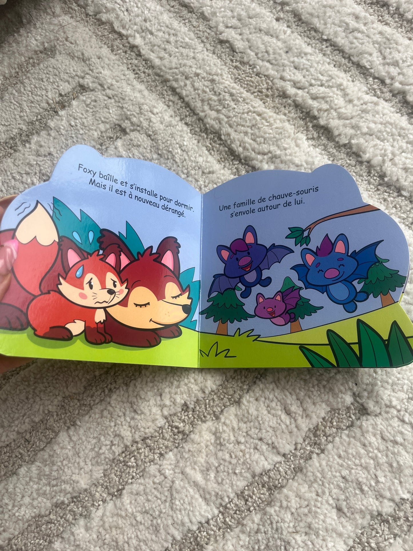 Livre de poche enfant « Foxy le renard »