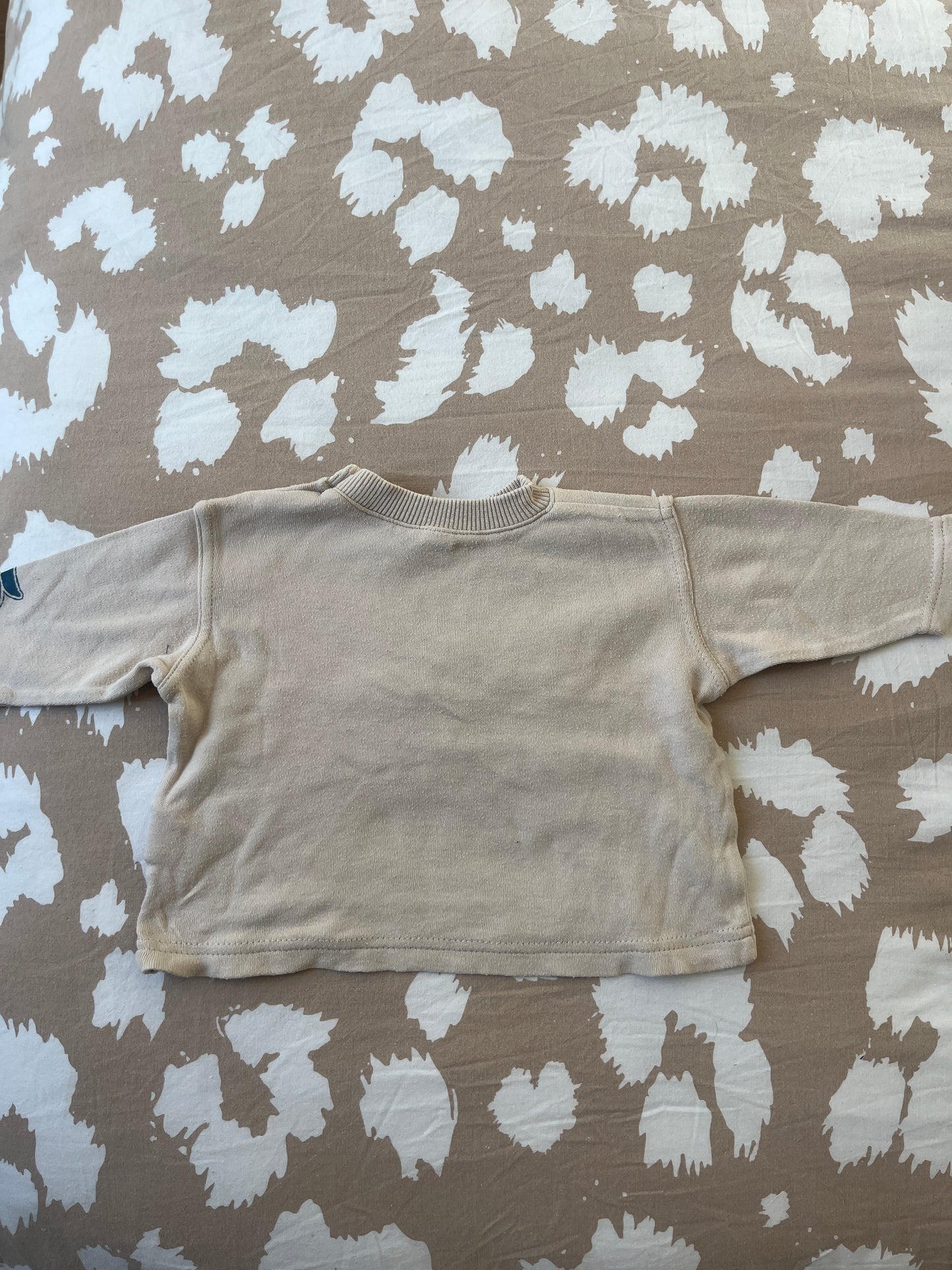Pull à manches longues beige avec chien sur un skate (oversize) - 3 mois