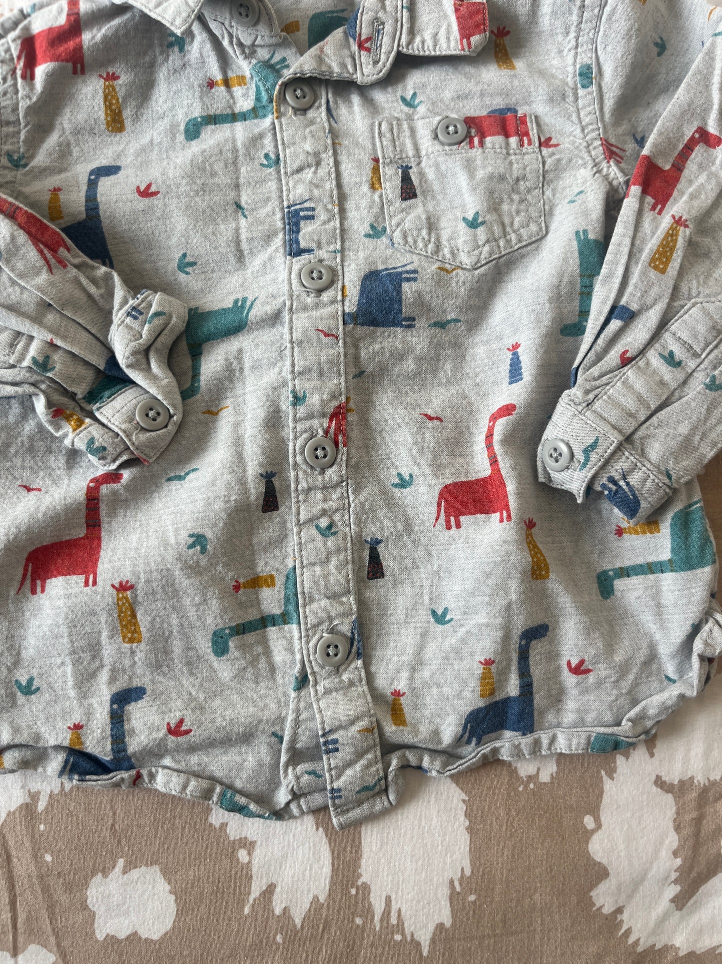 Chemise à manches longues grise avec dinosaures - 9 mois