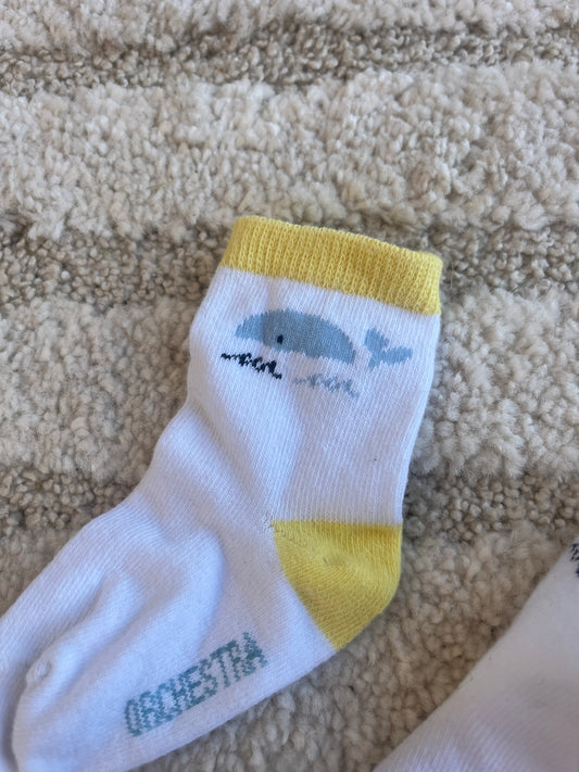 Paire de chaussettes baleine Orchestra - Pointure 17/18