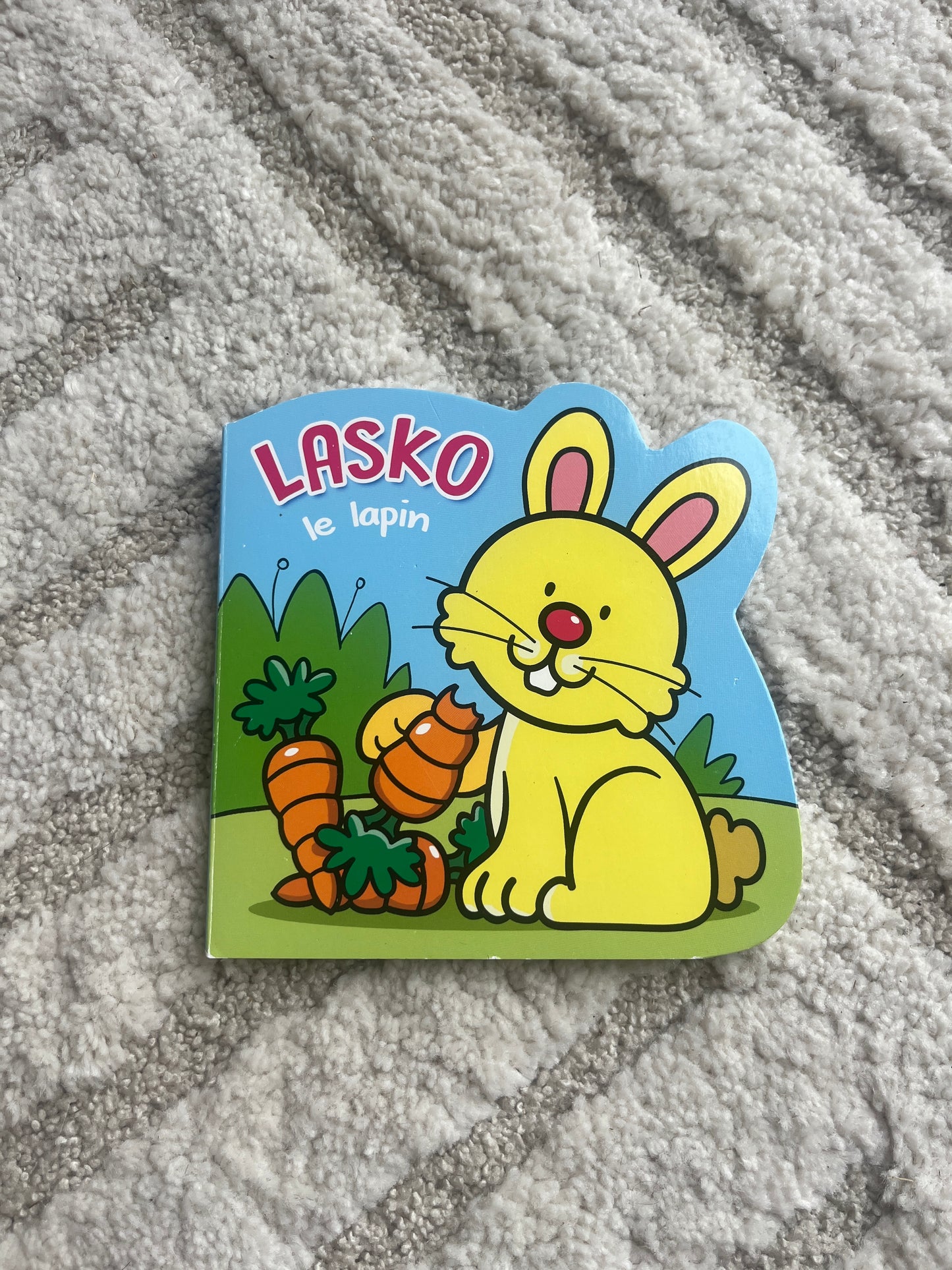Livre de poche enfant « Lasko le lapin »