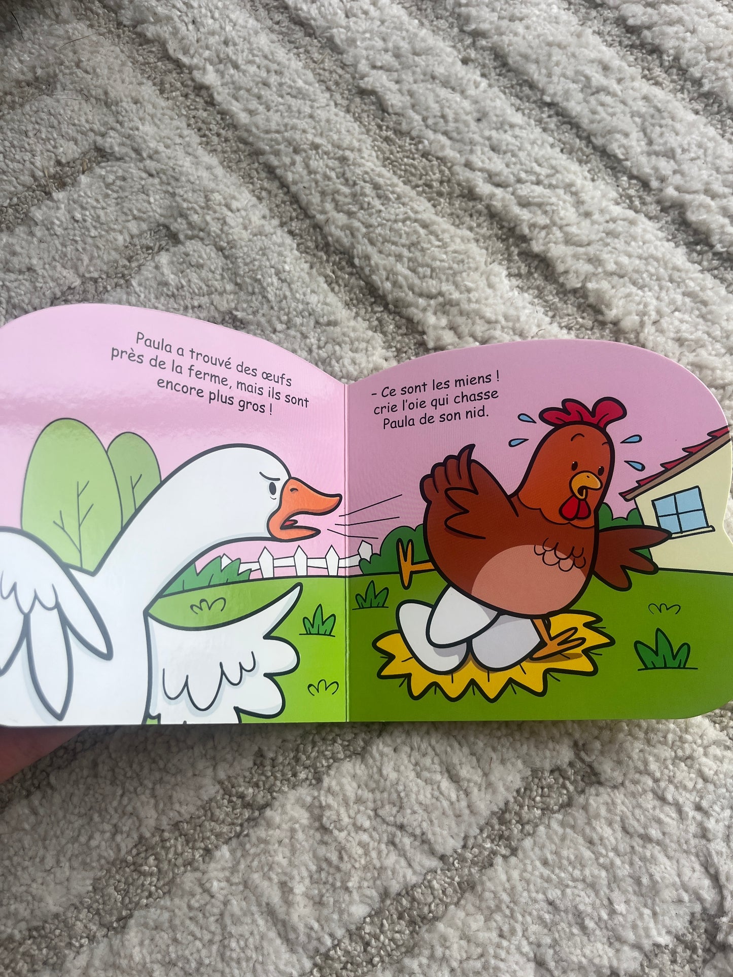 Livre de poche enfant « Paula la poule »