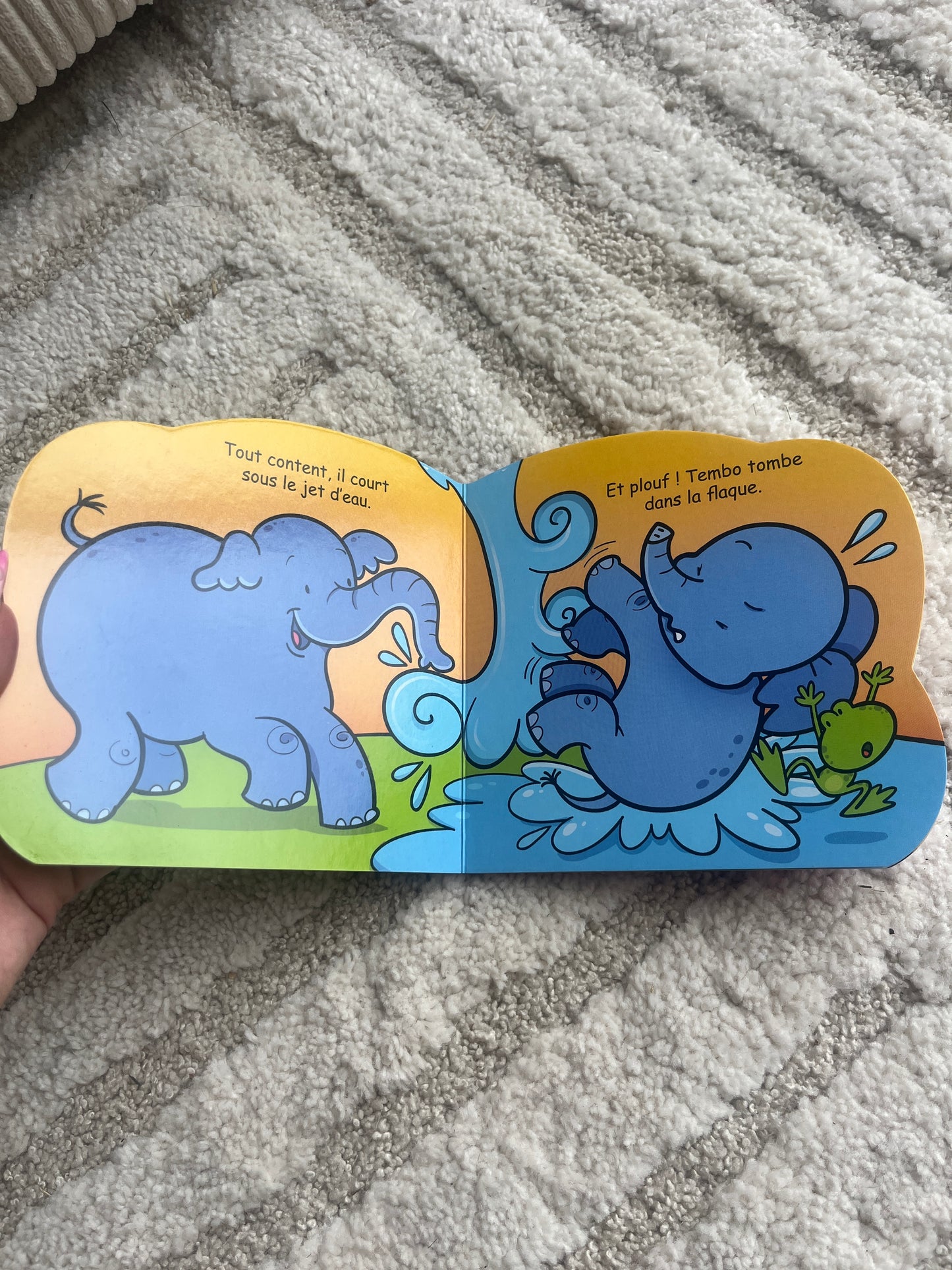 Livre de poche enfant « Tembo l’éléphant »
