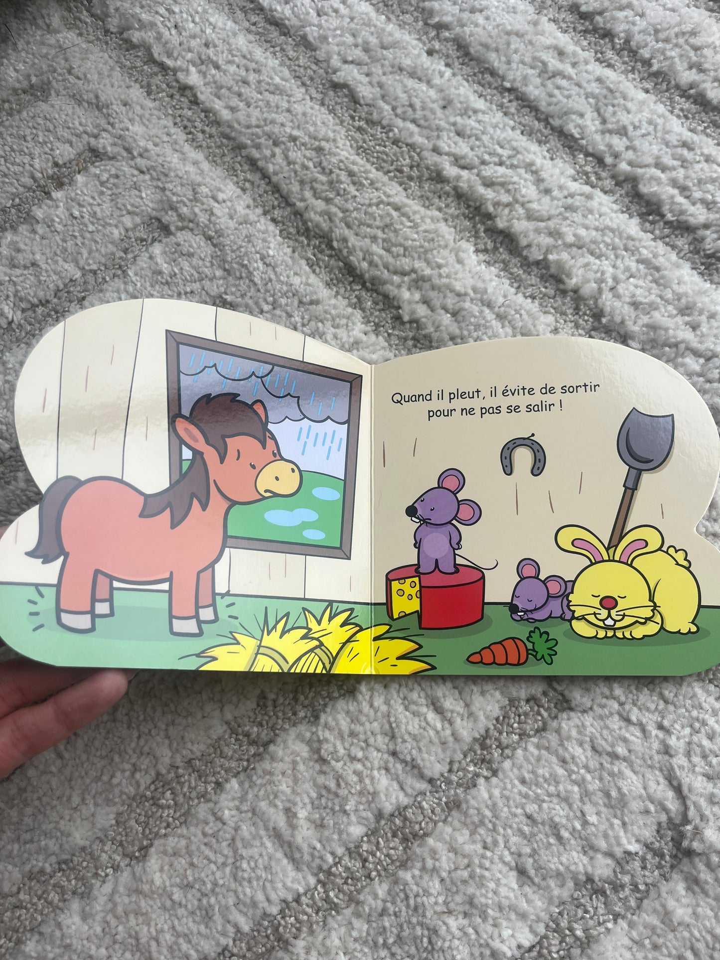 Livre de poche enfant « Polo le poney »