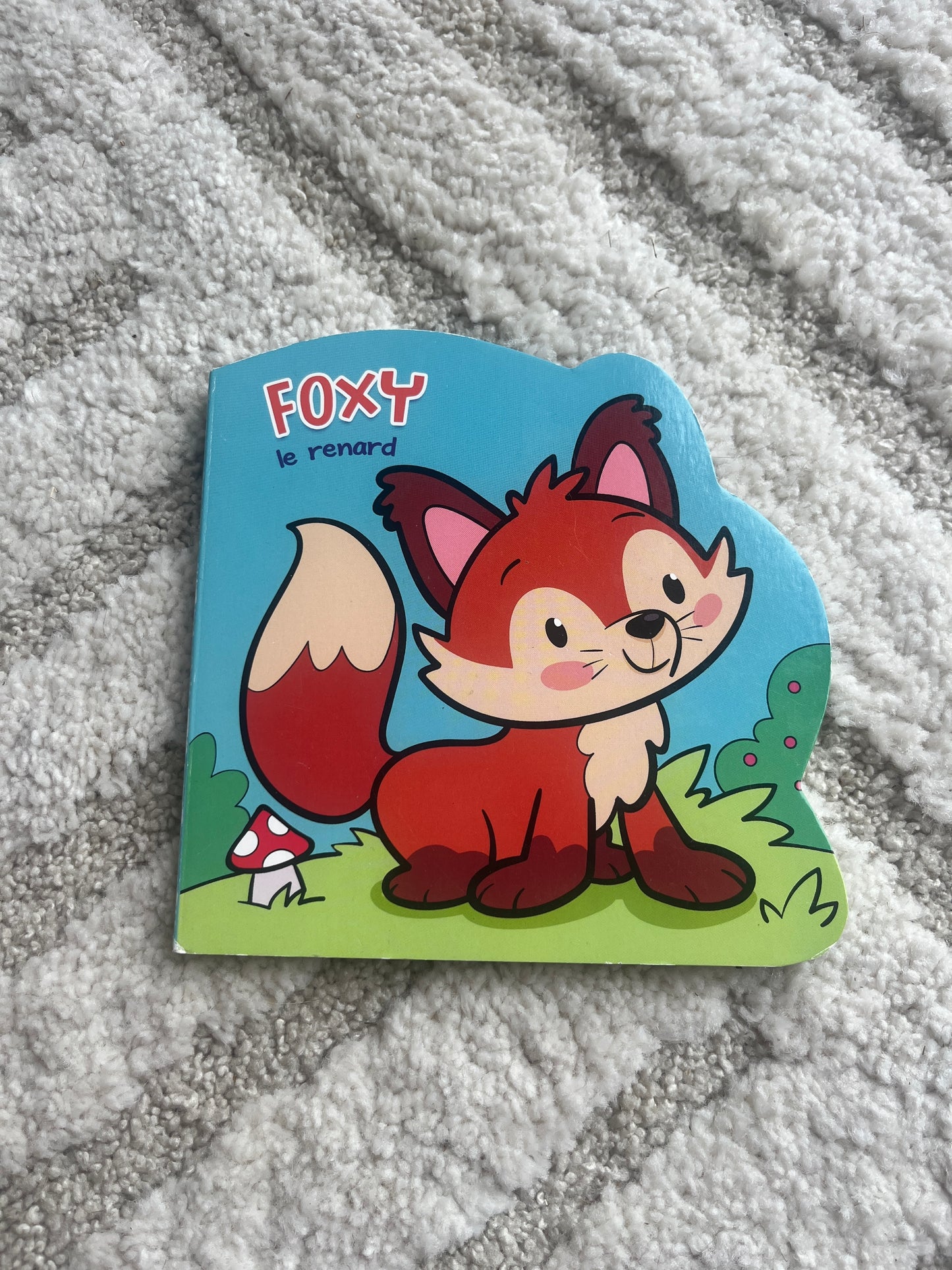 Livre de poche enfant « Foxy le renard »