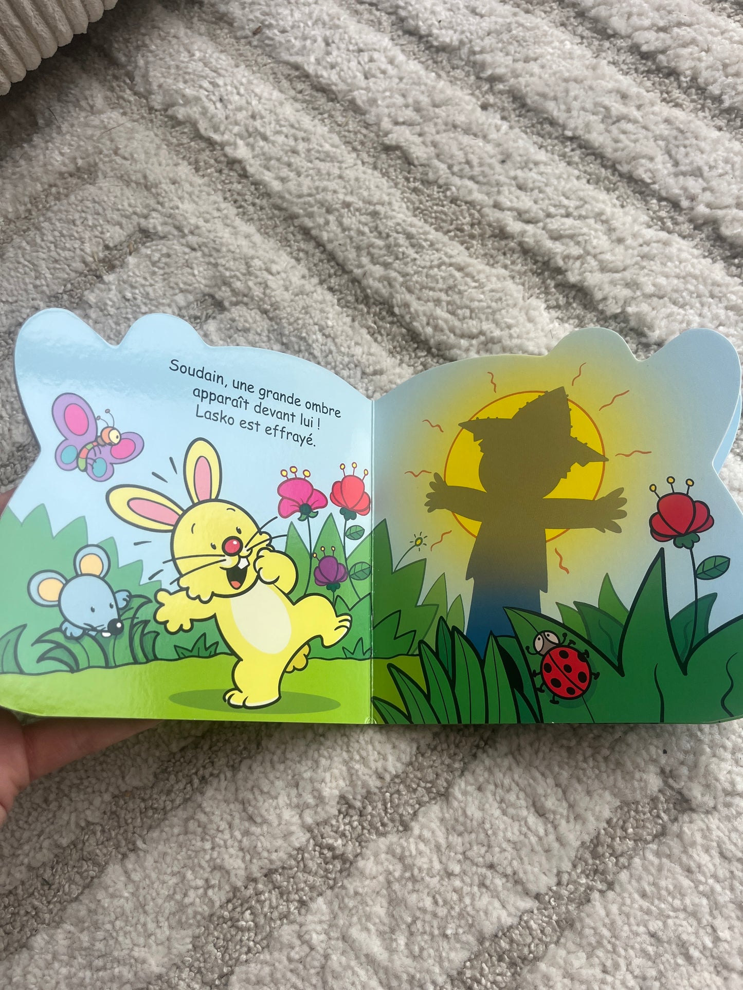 Livre de poche enfant « Lasko le lapin »
