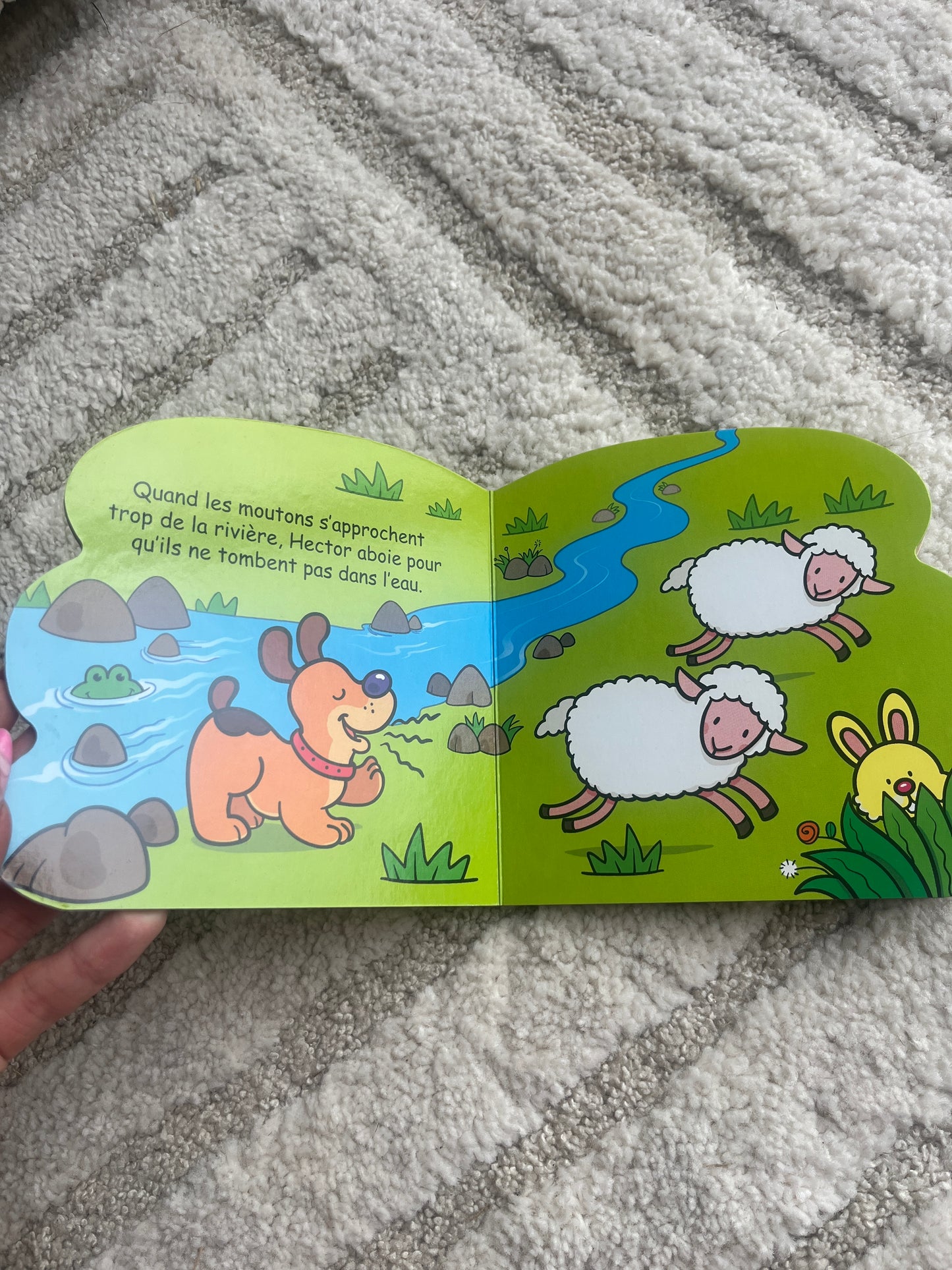Livre de poche enfant « Hector le chien »