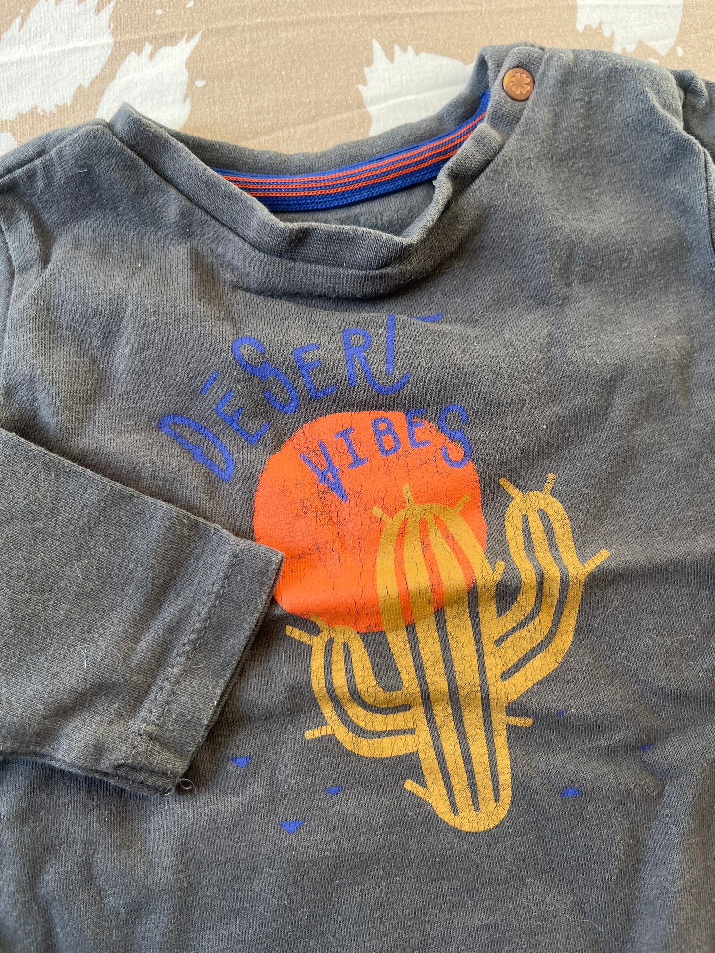 T-shirt à manches longues gris cactus « désert vibes » - 3 mois