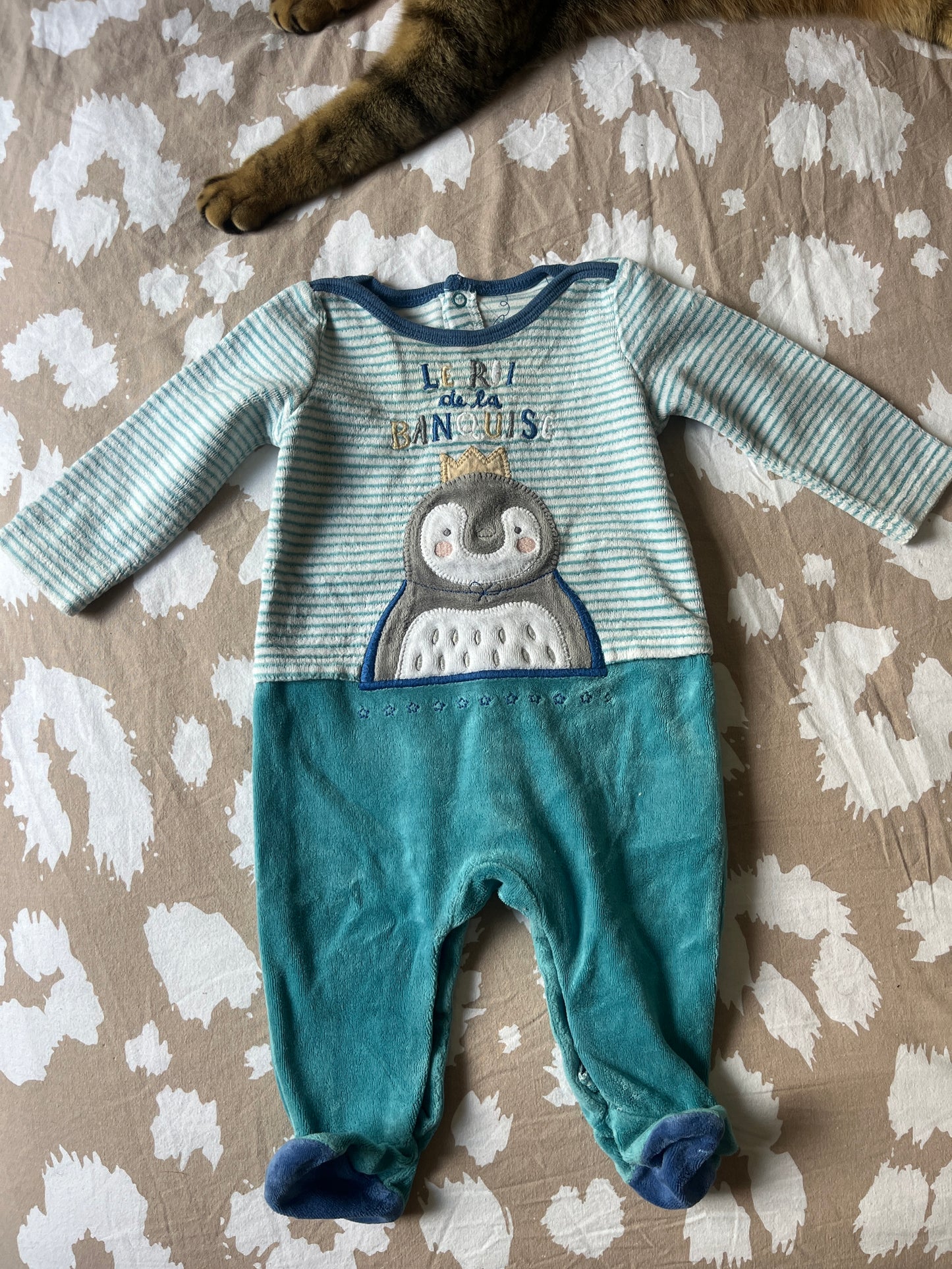 Pyjama en velours pingouin Sergent Major - 6 mois