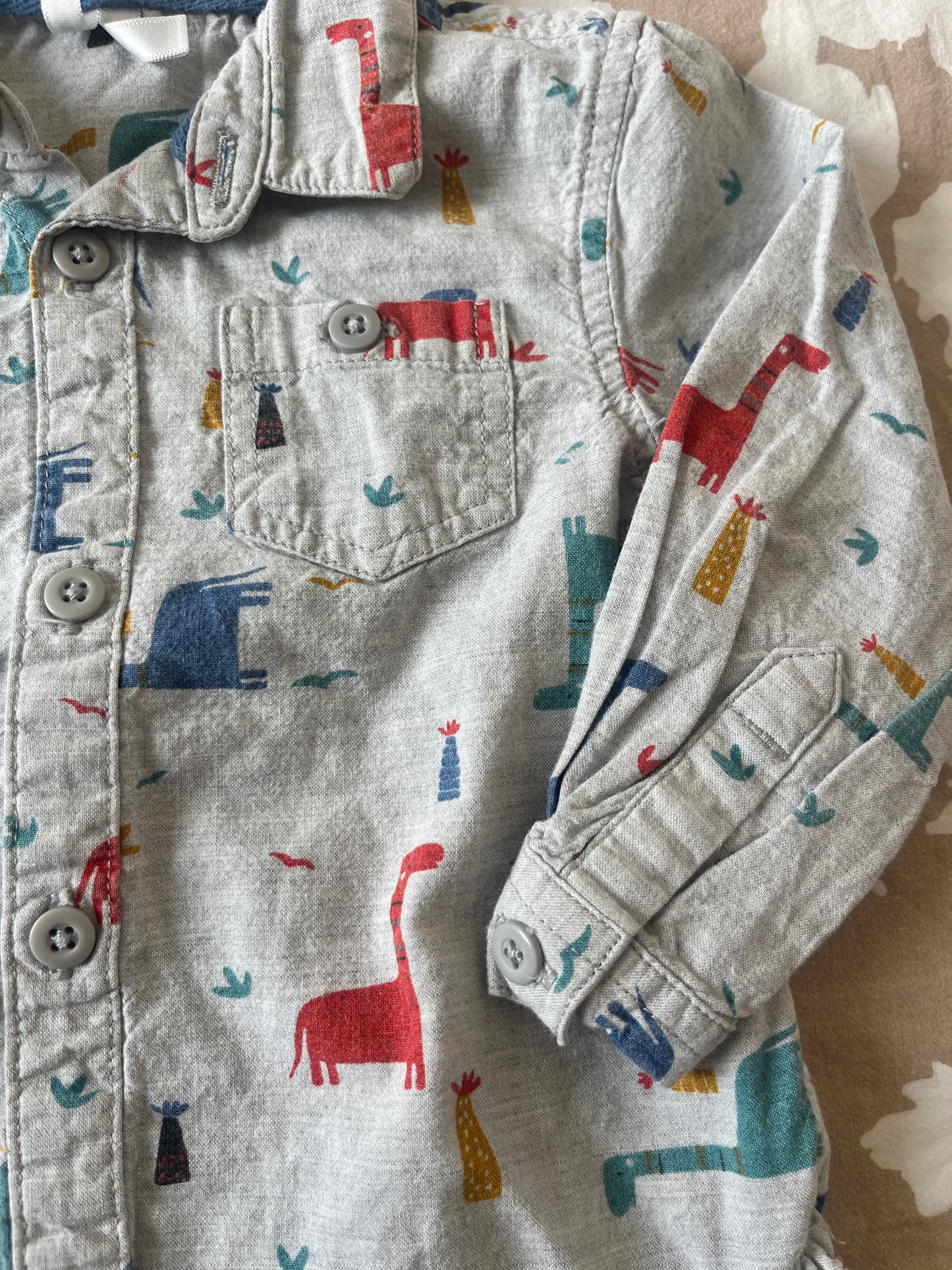 Chemise à manches longues grise avec dinosaures - 9 mois
