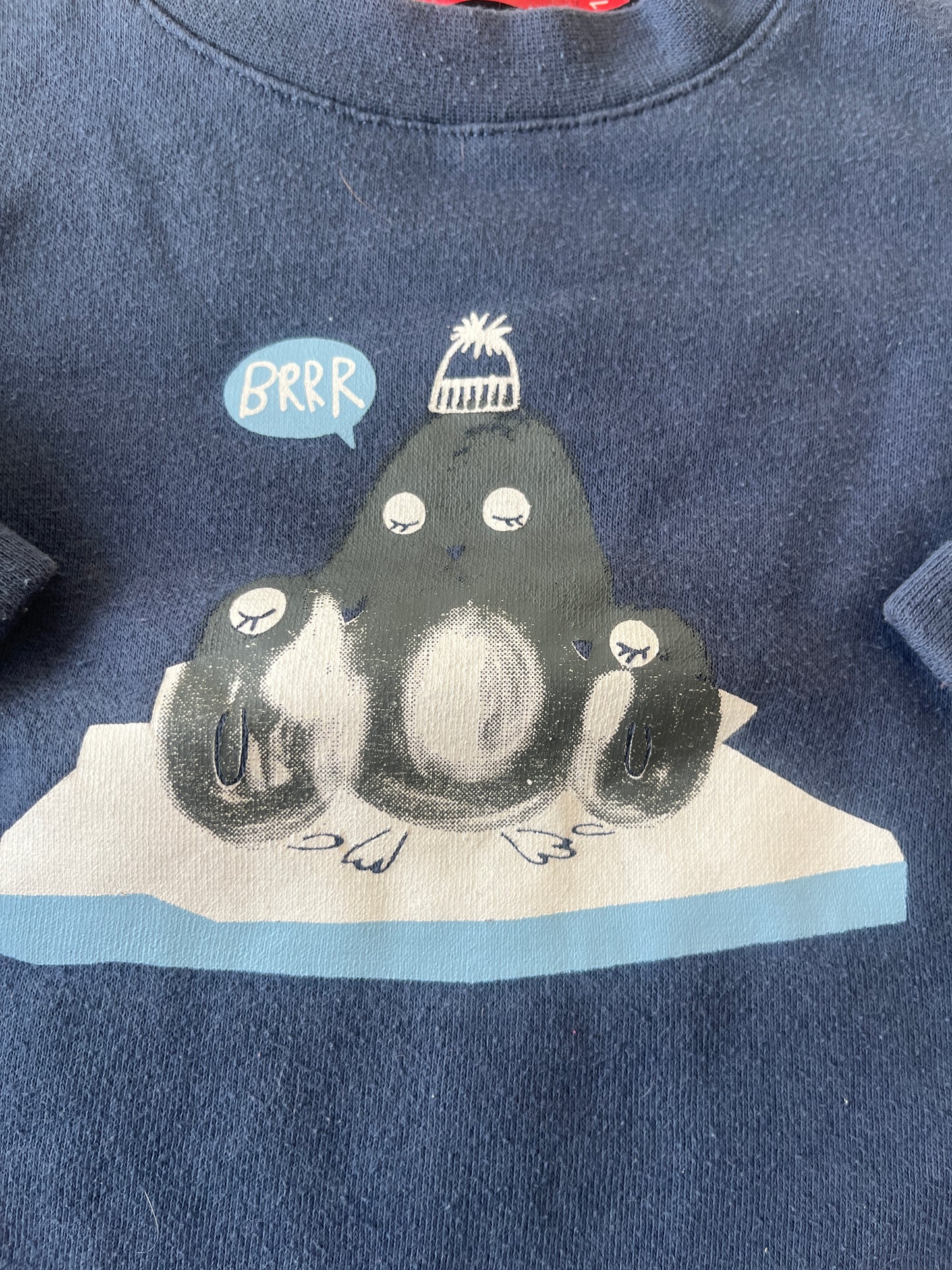 Sweat à manches longues bleu avec pingouins - 12 mois