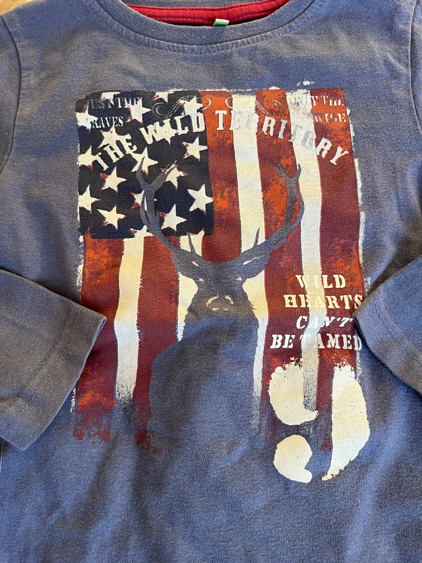T-shirt à manches longues bleu motifs américains - 3 ans