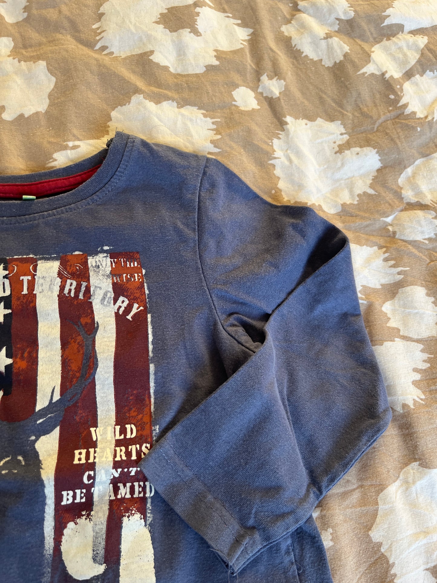 T-shirt à manches longues bleu motifs américains - 3 ans