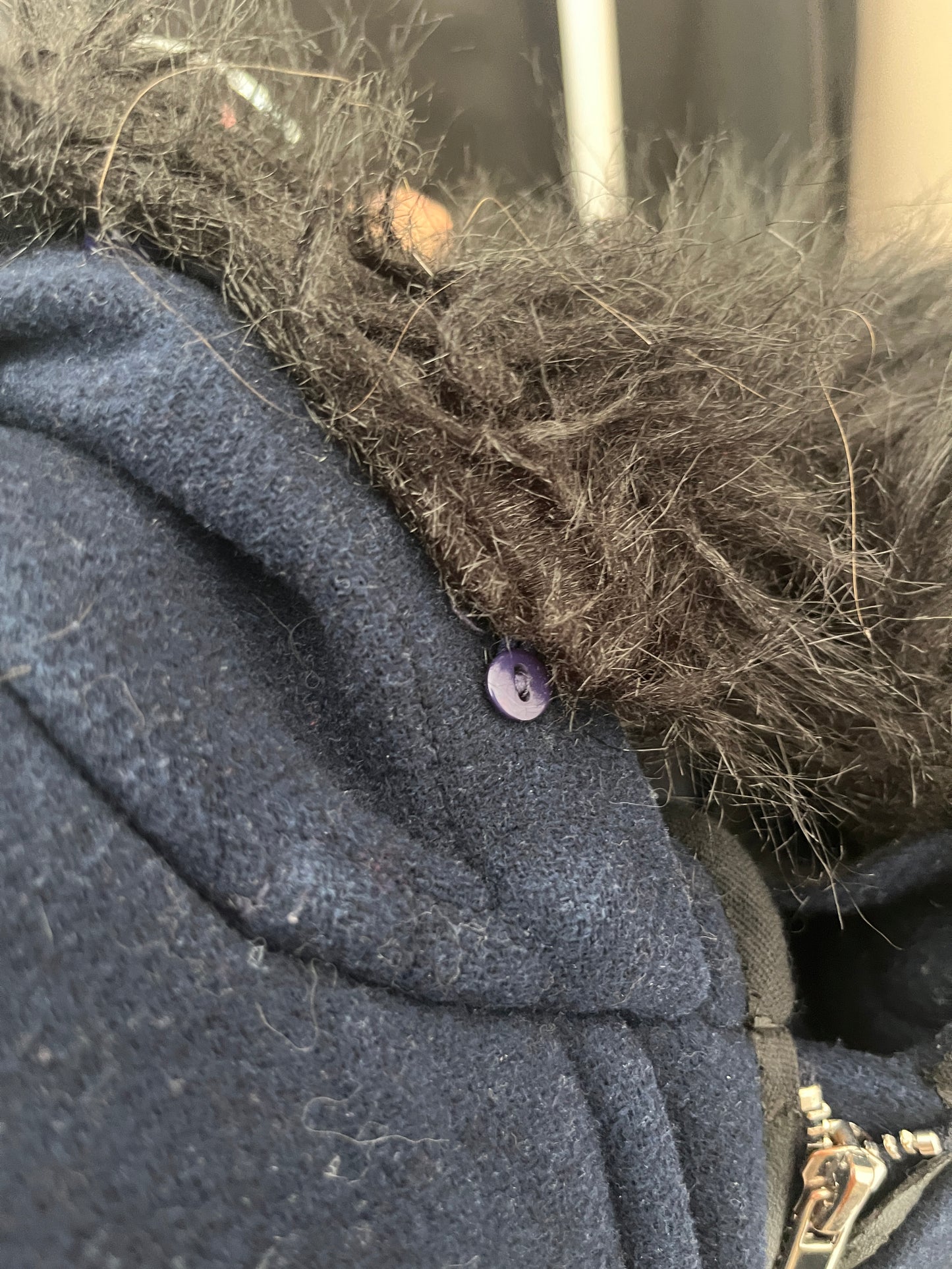 Manteau bleu en velours à capuche Morgan - M