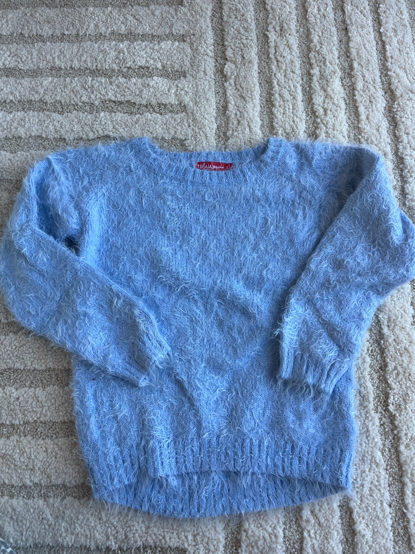 Pull à manches longues bleu à « poils » - 6 ans