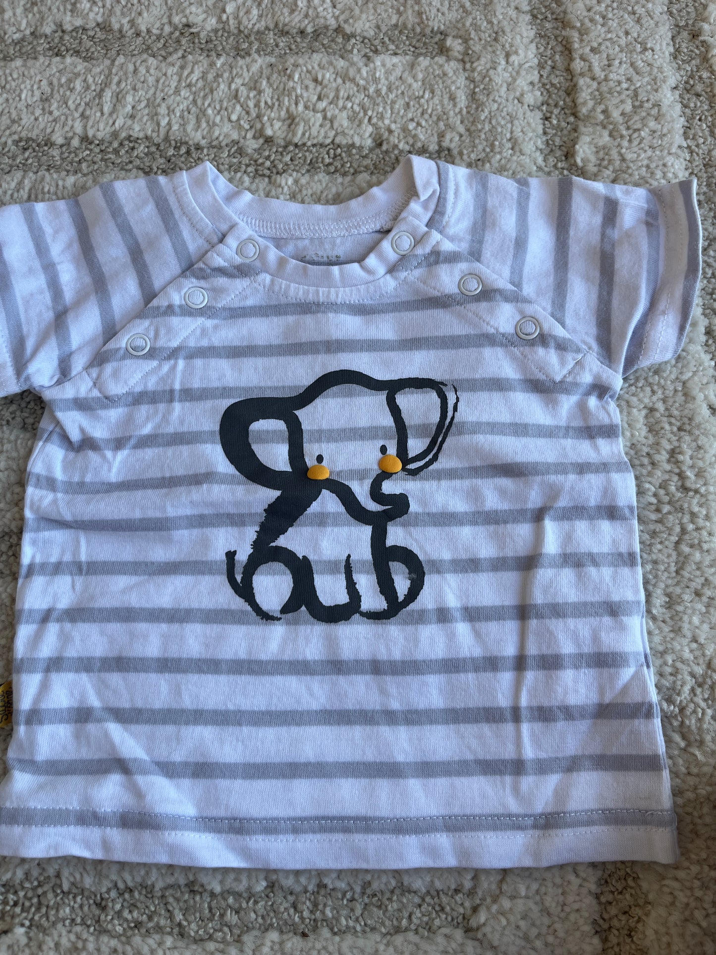 Ensemble haut + short éléphant Sucre d’Orge - 6 mois
