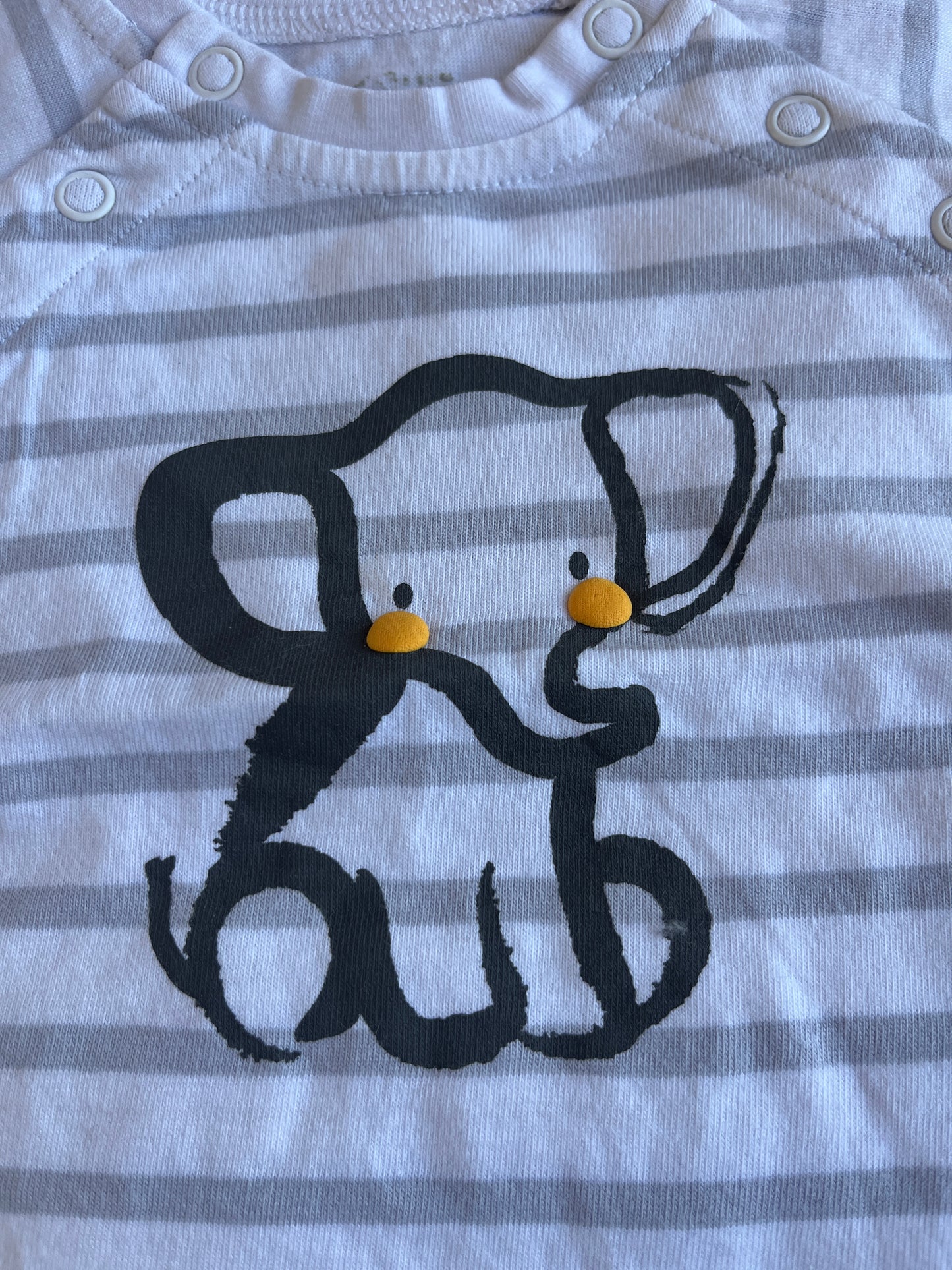 Ensemble haut + short éléphant Sucre d’Orge - 6 mois